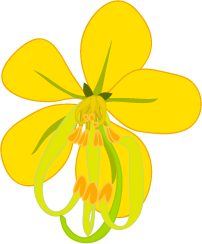 yellow flower icon