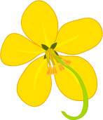 yellow flower icon